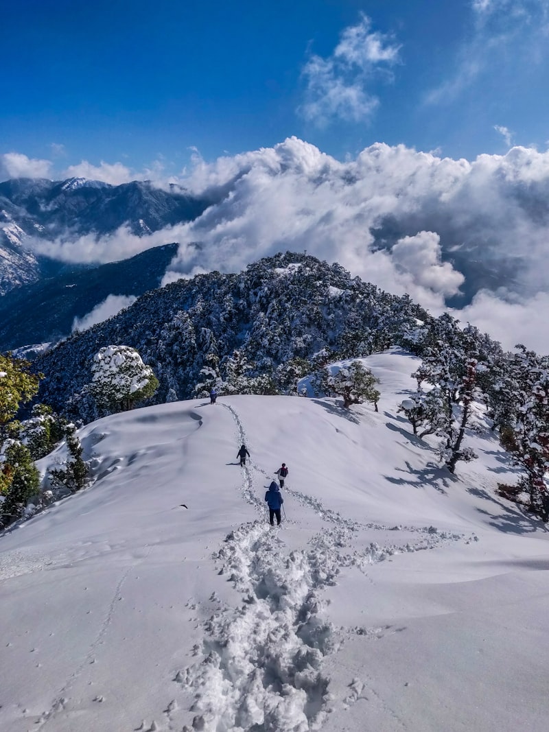 Auli Ski & Snow Adventure